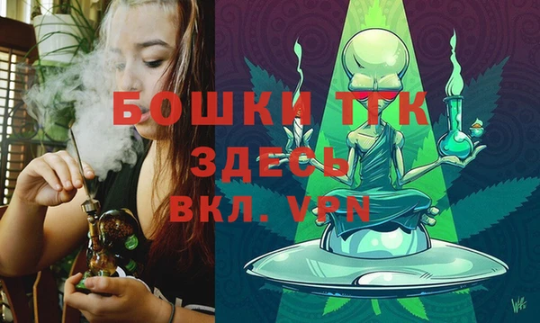 PSILOCYBIN Беломорск