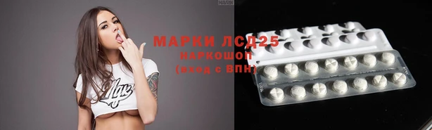 PSILOCYBIN Беломорск