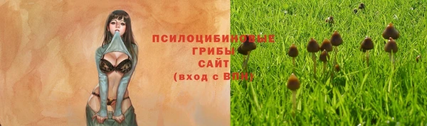 гидра Няндома